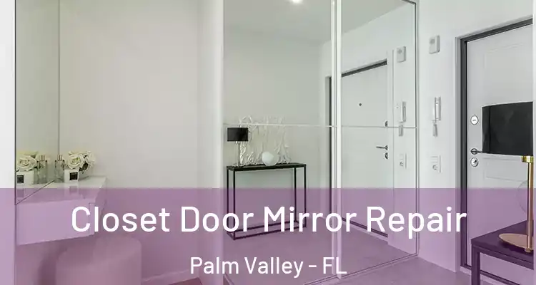  Closet Door Mirror Repair Palm Valley - FL