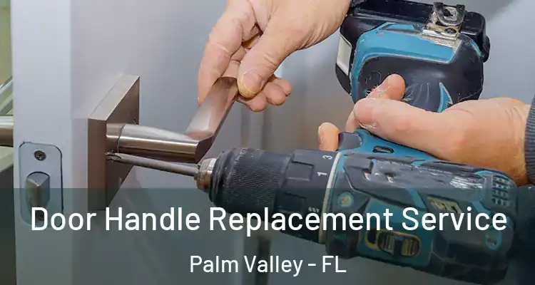  Door Handle Replacement Service Palm Valley - FL