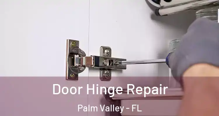  Door Hinge Repair Palm Valley - FL