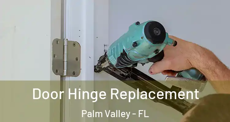  Door Hinge Replacement Palm Valley - FL