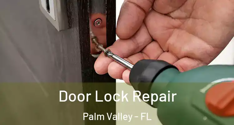  Door Lock Repair Palm Valley - FL