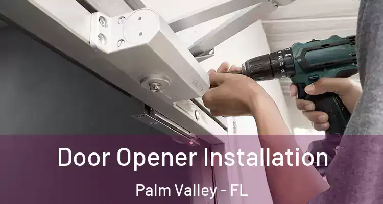  Door Opener Installation Palm Valley - FL