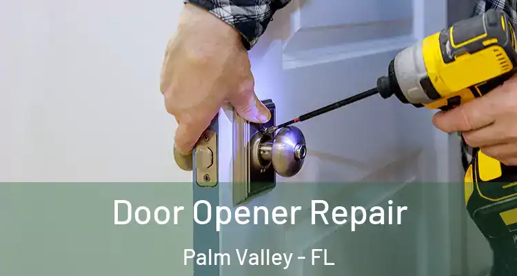  Door Opener Repair Palm Valley - FL