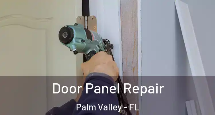  Door Panel Repair Palm Valley - FL