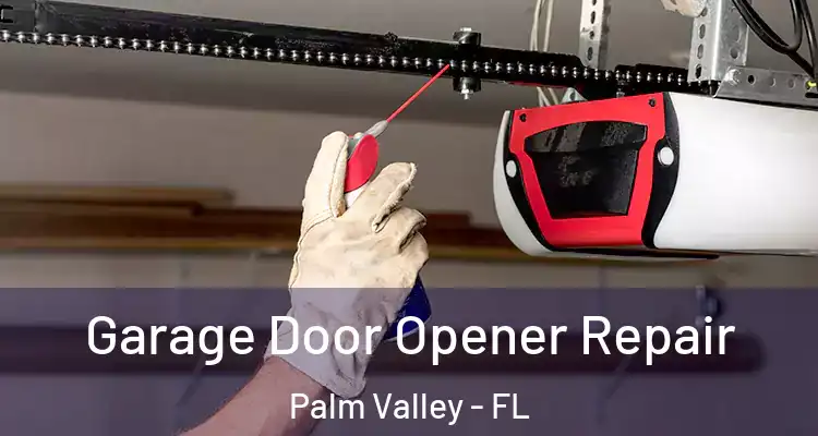  Garage Door Opener Repair Palm Valley - FL