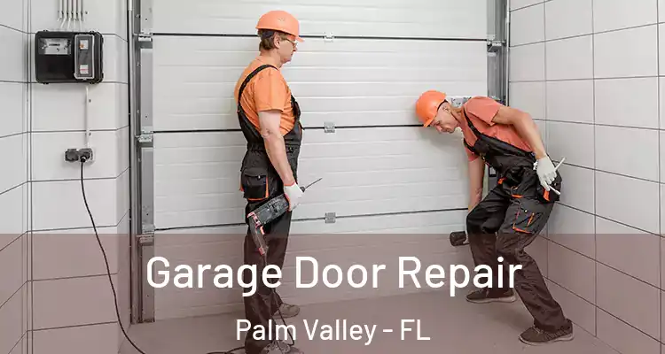  Garage Door Repair Palm Valley - FL