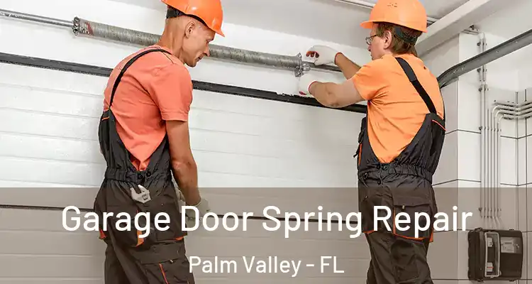  Garage Door Spring Repair Palm Valley - FL