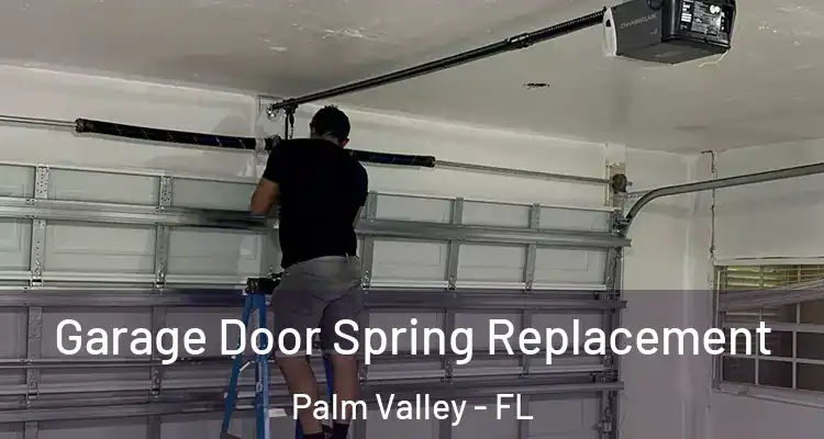  Garage Door Spring Replacement Palm Valley - FL