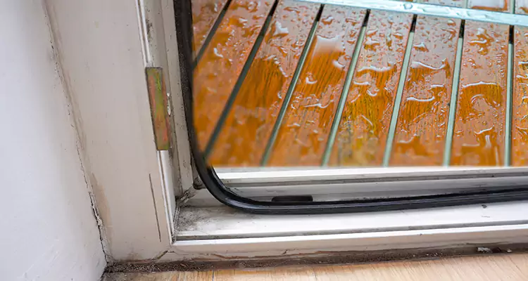 Water Leaking Wooden Patio Doors Repair in Palm Valley, FL
