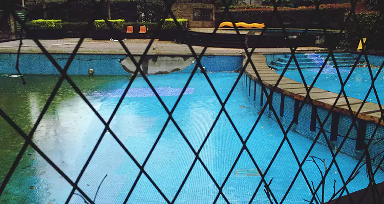 Lanai Screen Repair in Palm Valley, FL