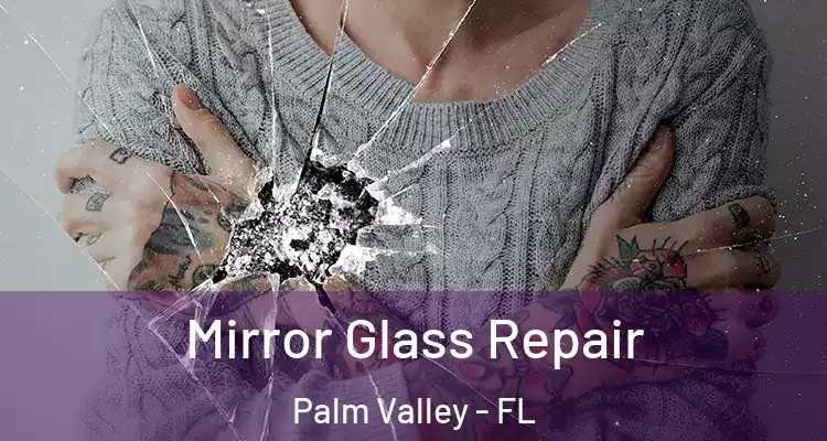  Mirror Glass Repair Palm Valley - FL