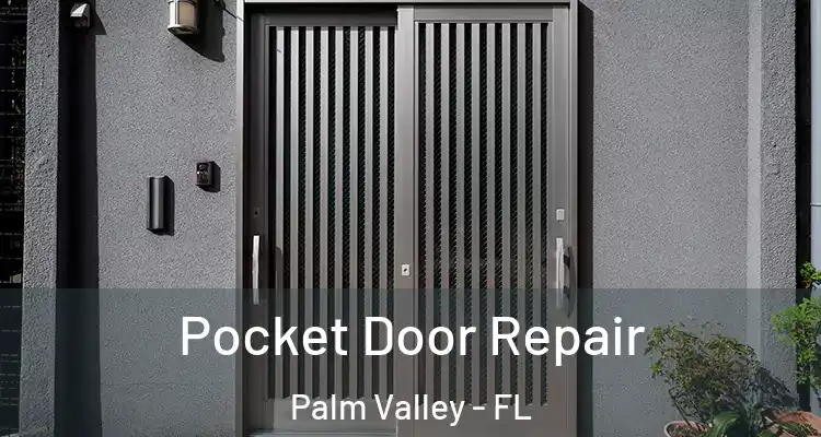  Pocket Door Repair Palm Valley - FL