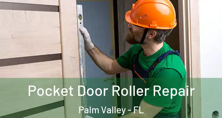  Pocket Door Roller Repair Palm Valley - FL