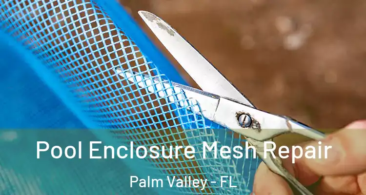  Pool Enclosure Mesh Repair Palm Valley - FL