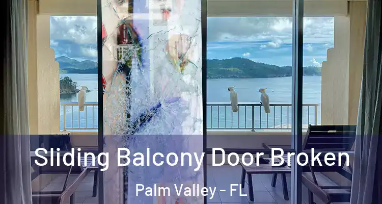  Sliding Balcony Door Broken Palm Valley - FL