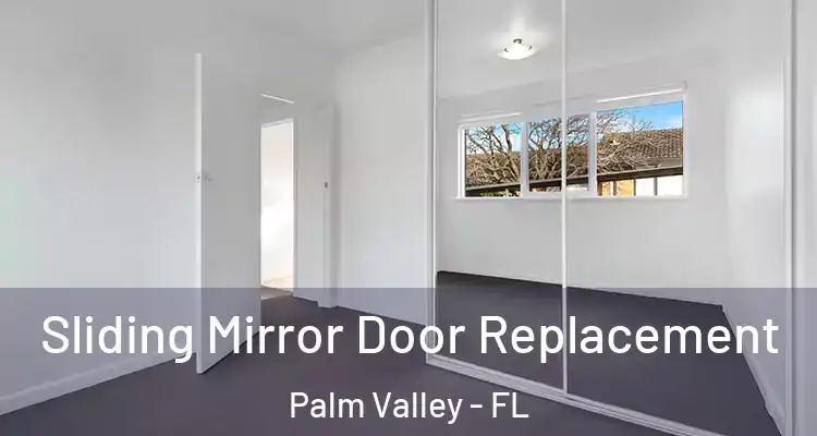  Sliding Mirror Door Replacement Palm Valley - FL