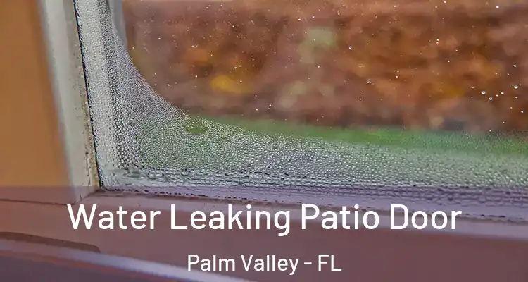  Water Leaking Patio Door Palm Valley - FL