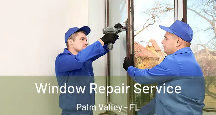  Window Repair Service Palm Valley - FL